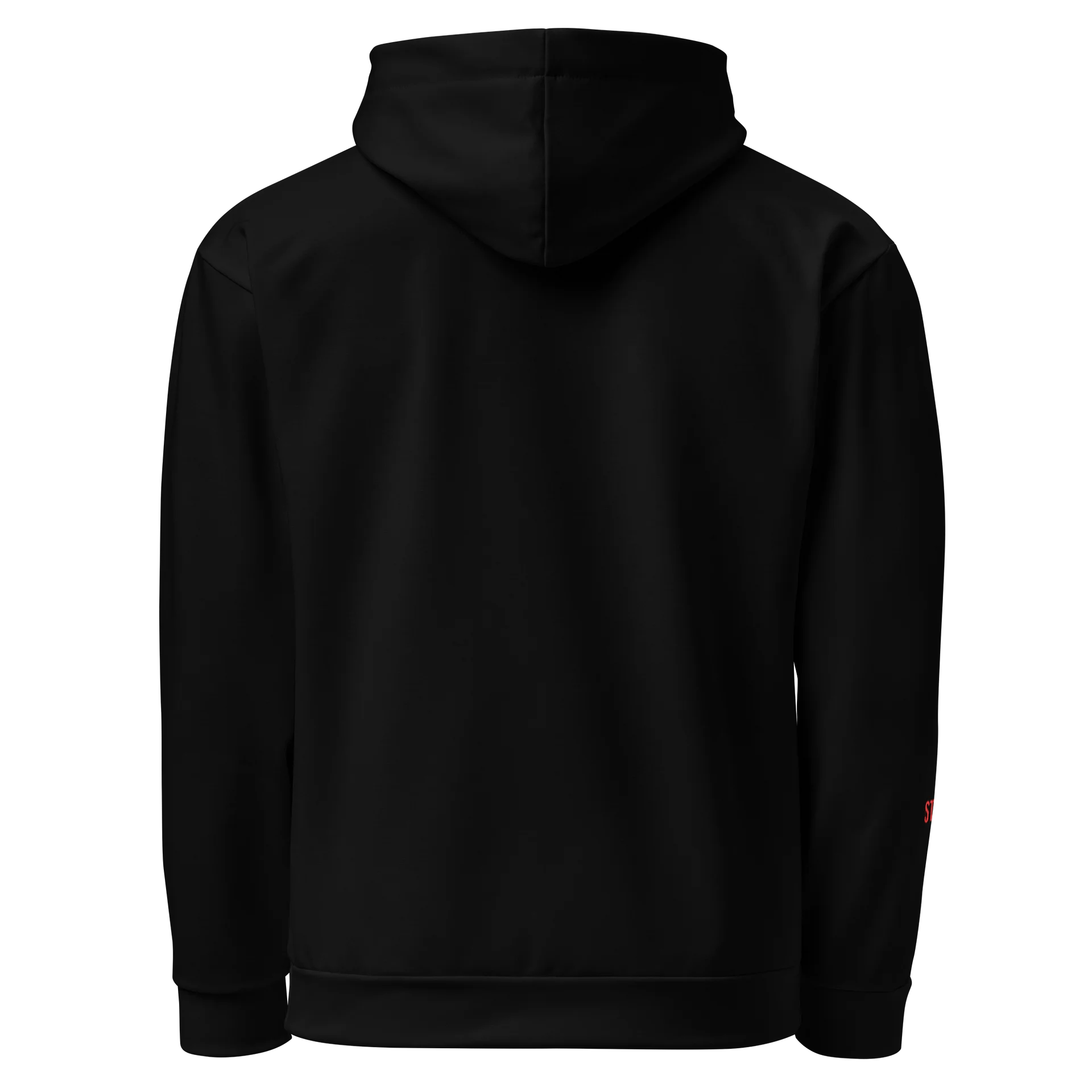 St. Ephraim College Hoodie product image (3)