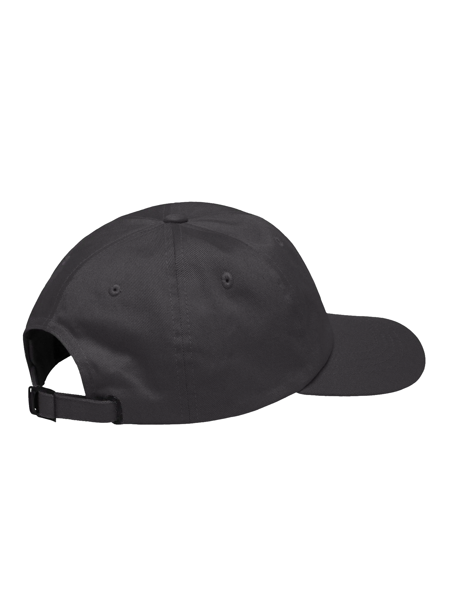 The Dad Hat  product image (13)