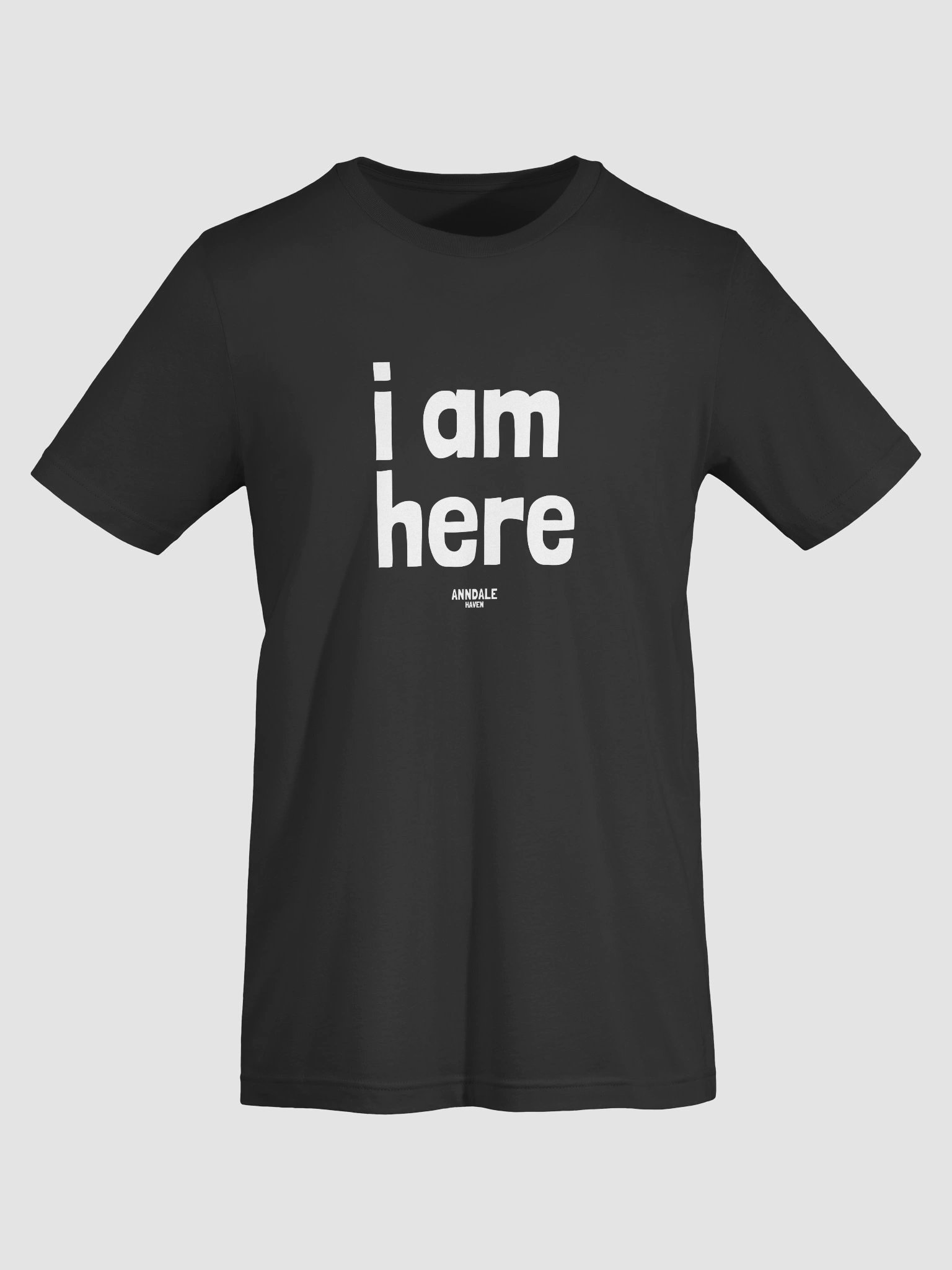 "I am here" AnndaleHaven T-Shirt product image (53)
