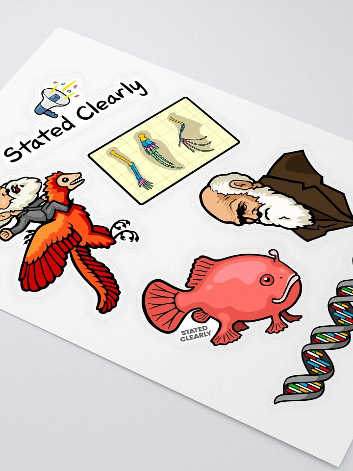 Darwin Evolution Sticker Sheet product image (1)