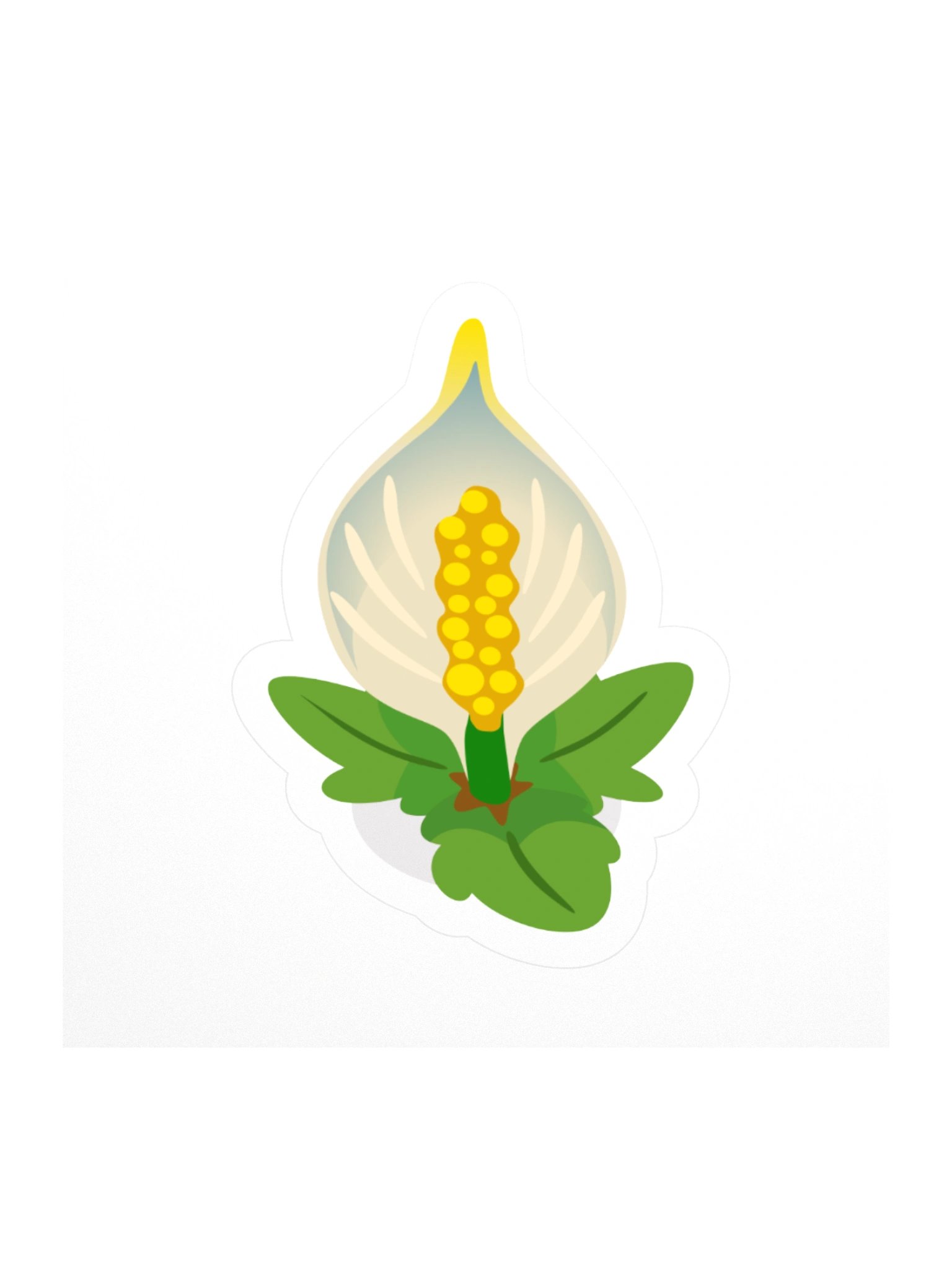Lily product image (1)