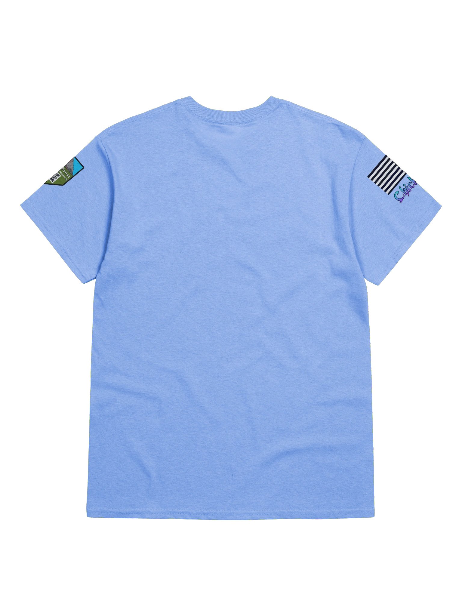 Chick Vet I'm the Veteran Shirt product image (37)