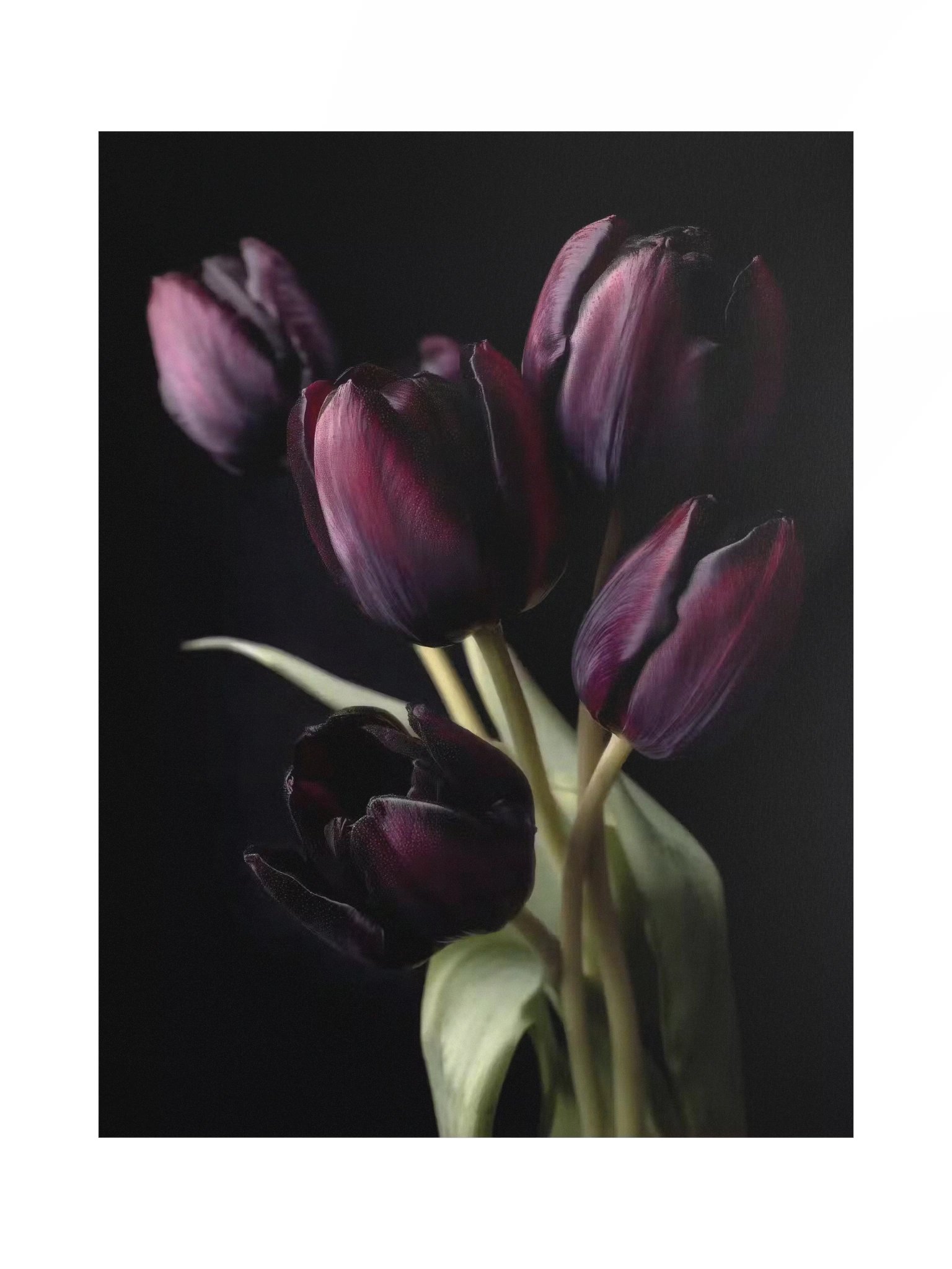 Tulips After Dusk I — Gathering in Shadow Fine Art Print product image (1)