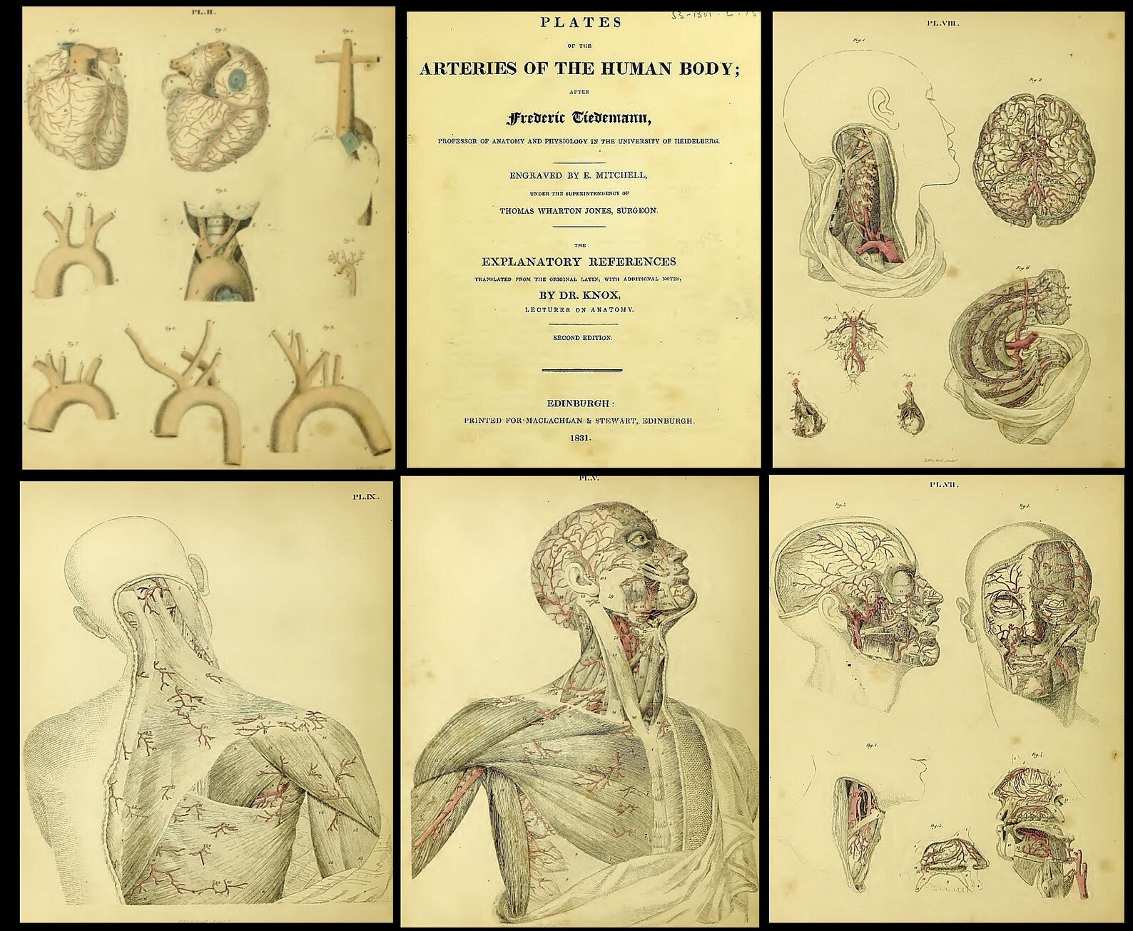 140 Rare Pathology Books product image (5)