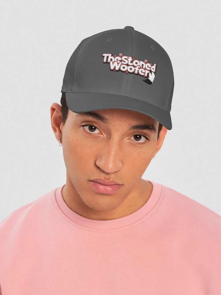 Logo Hat product image (9)
