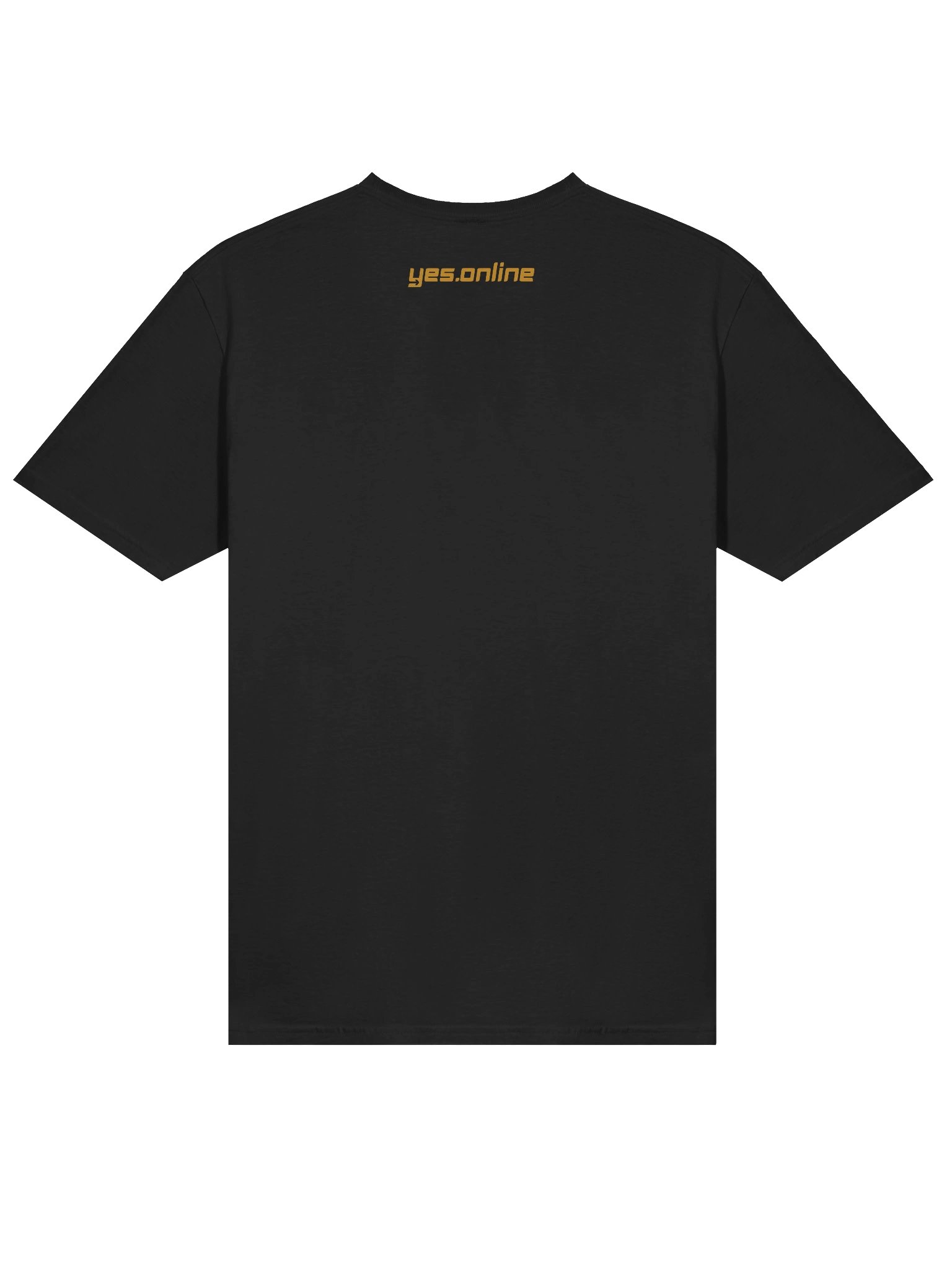 jesus unleashed product image (4)