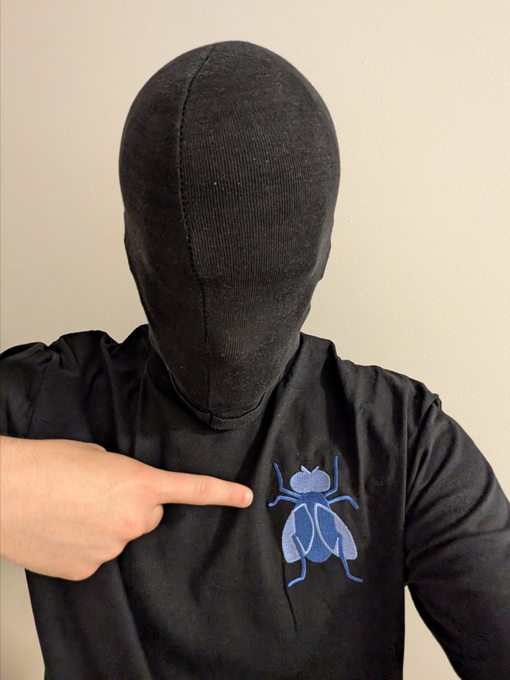 A Fly in the Void product image (1)