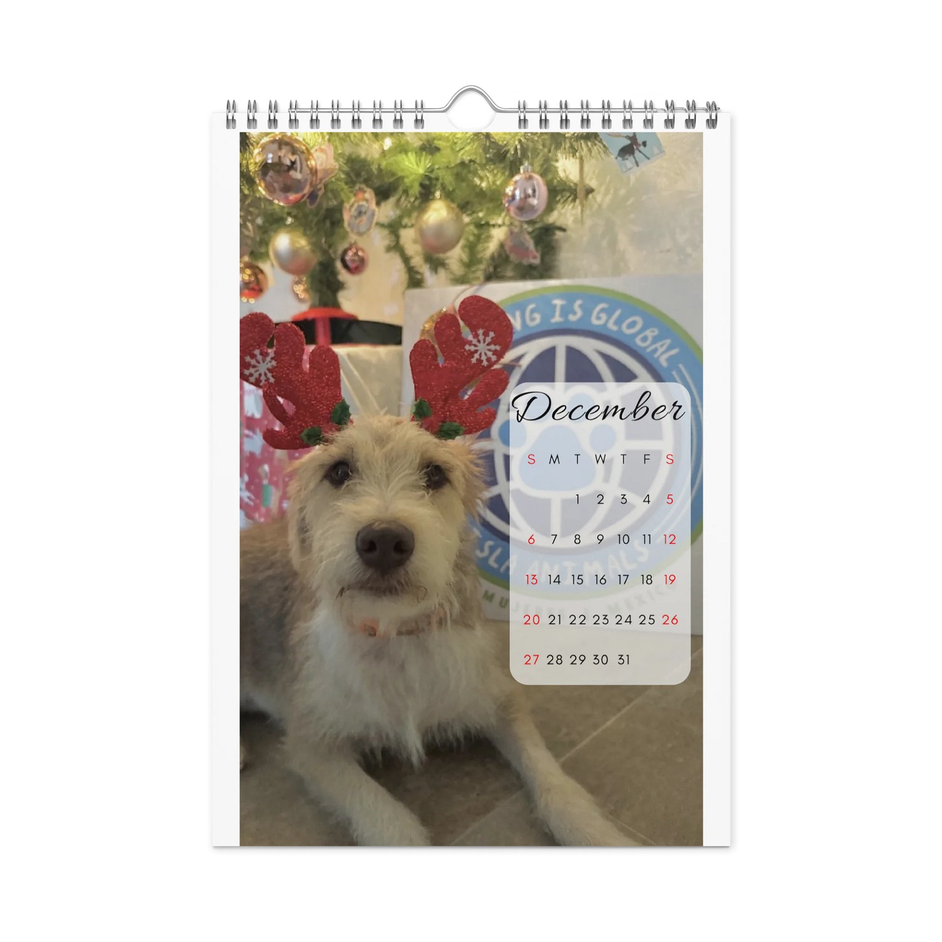 Isla Animals Calendar 2026 product image (12)