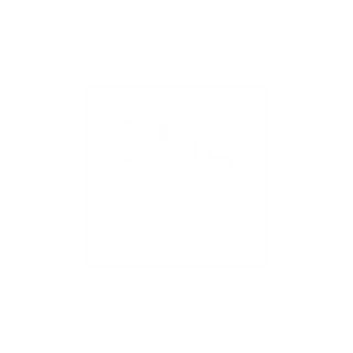 808Olly
