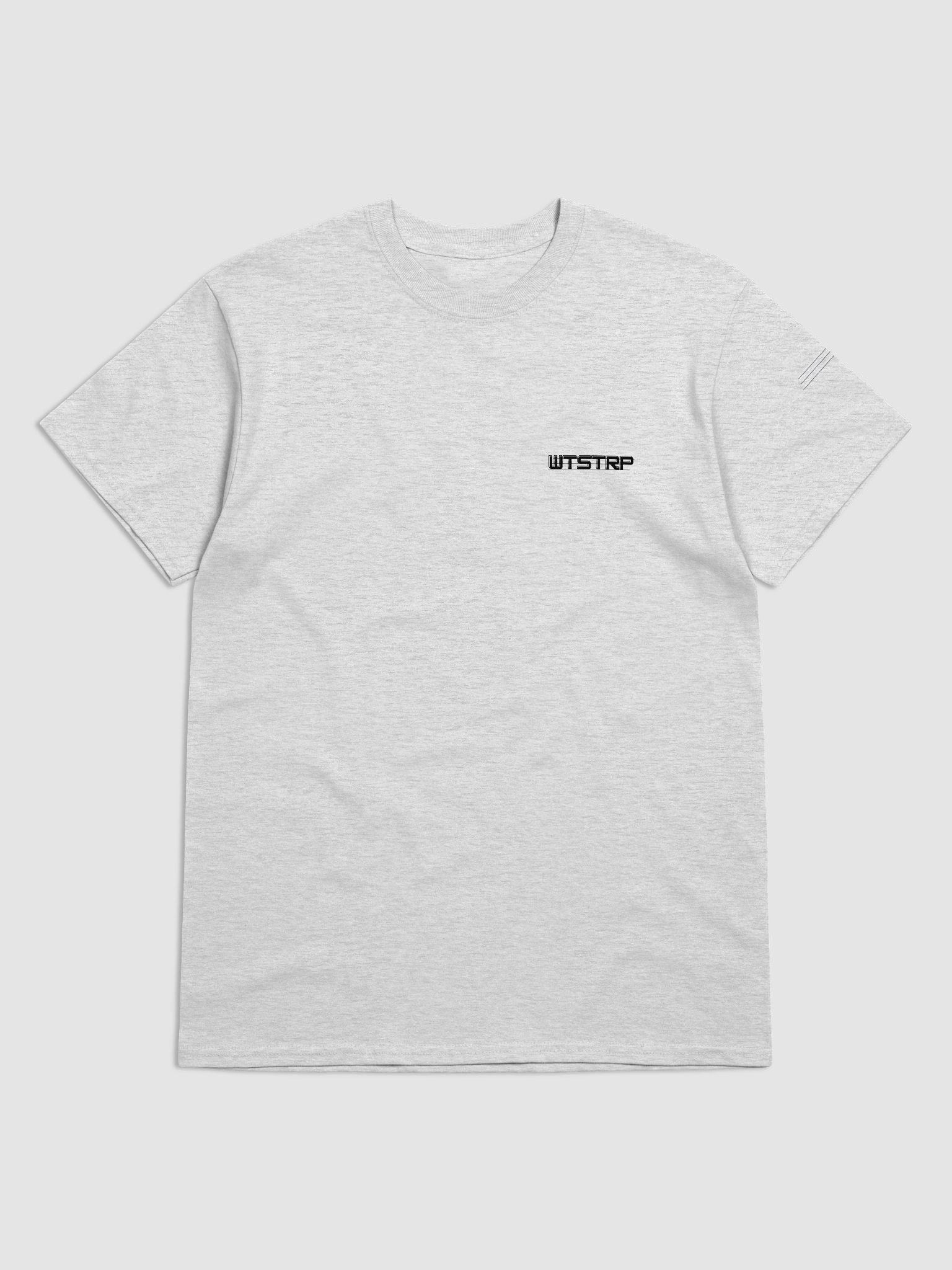 WS-ASH TEE product image (1)