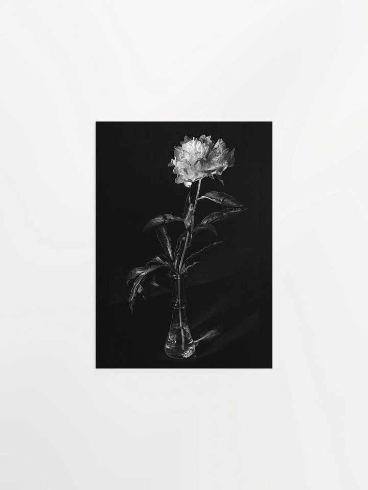 Peony in the Dark - Print product image (2)