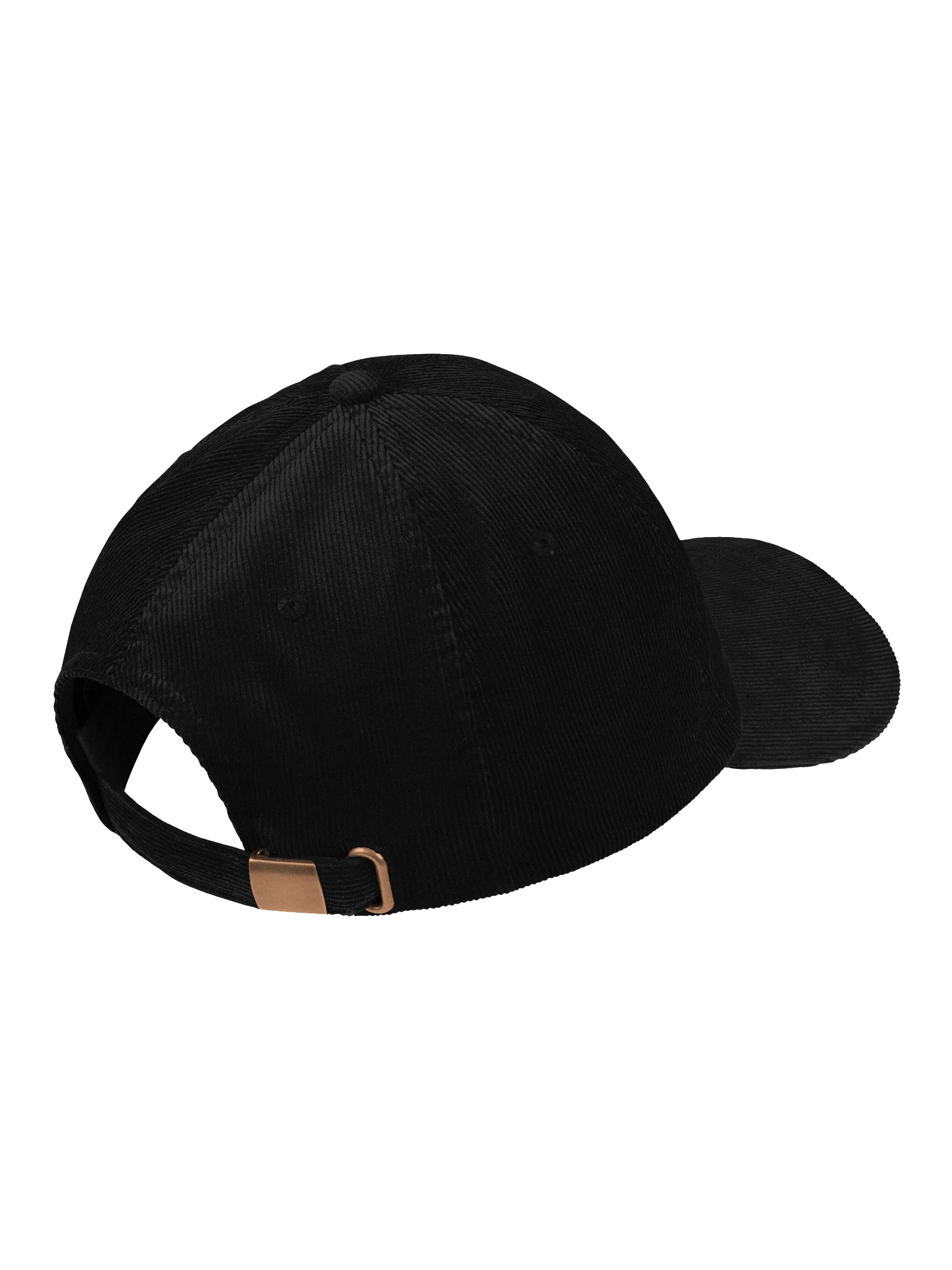 TDSA Dad Hat product image (4)