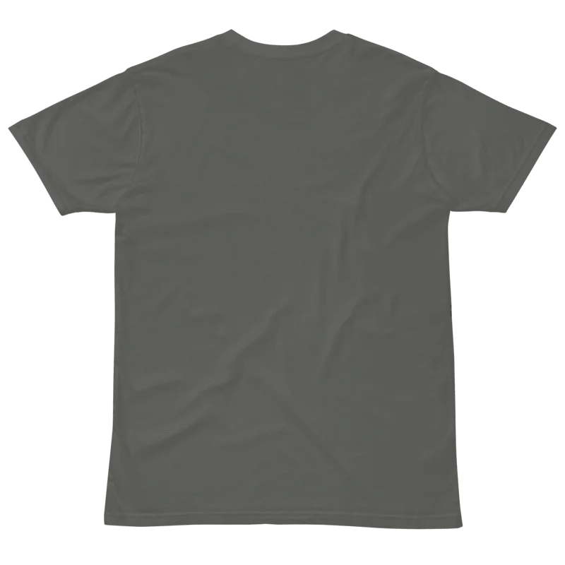 Make America America Again - Black Text - Premium Unisex T-Shirt product image (13)