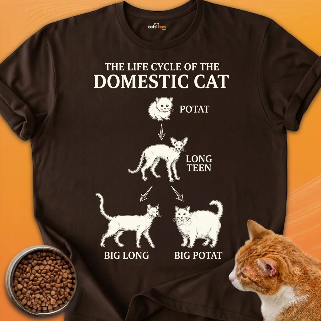 Domestic Cat product image (10)