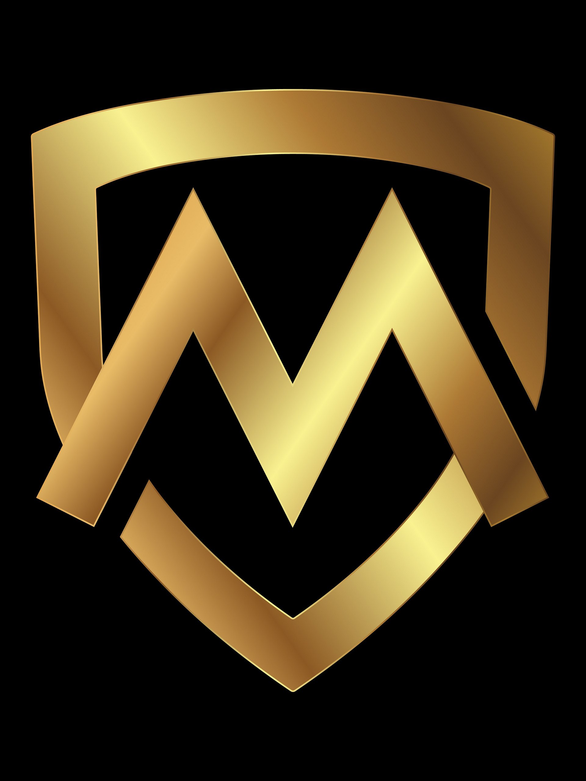 Customisable Smart Luxury Logo Design for Your Premium Brand product image (3)