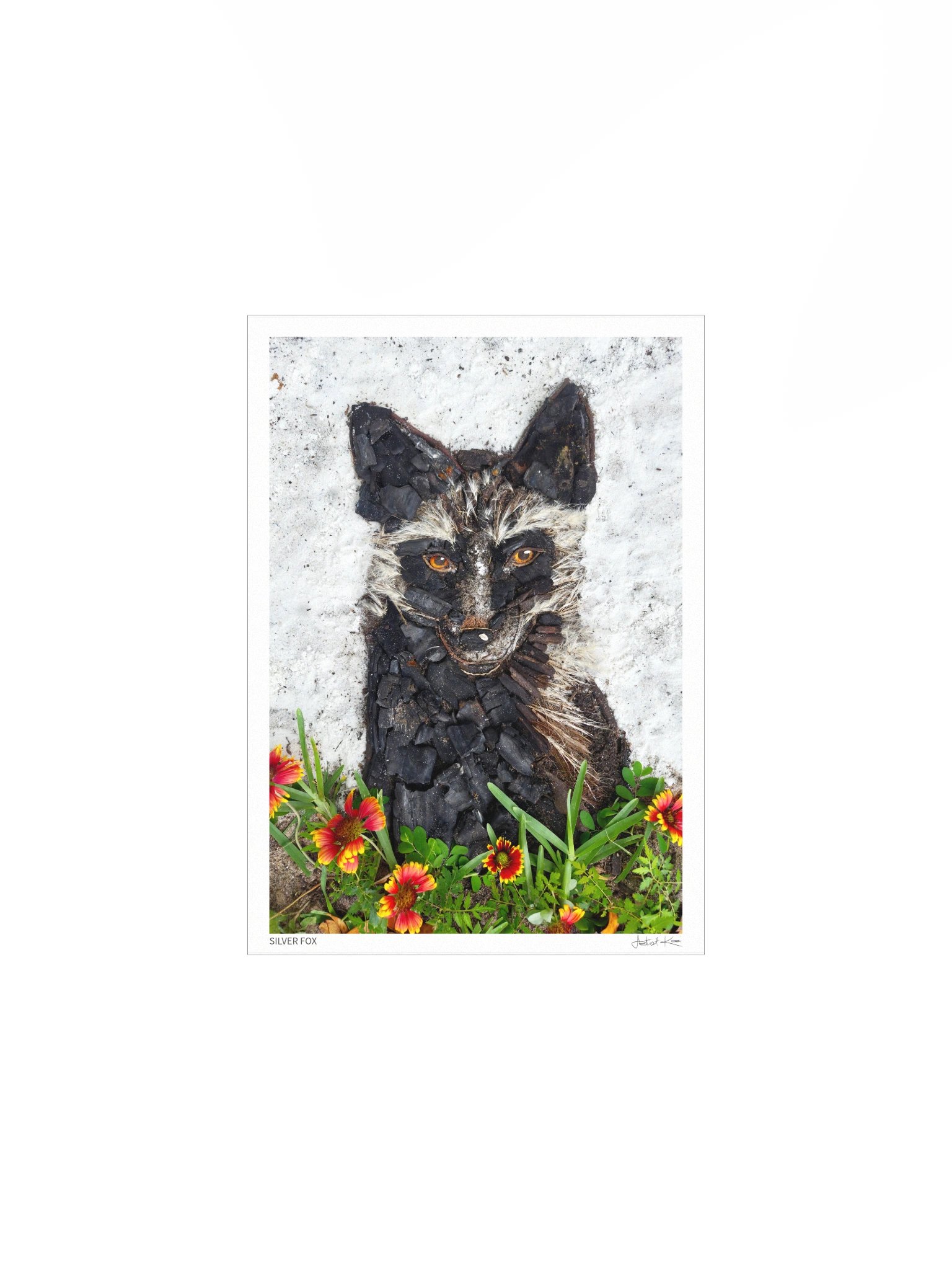 SILVER FOX | Fine Art Print product image (2)