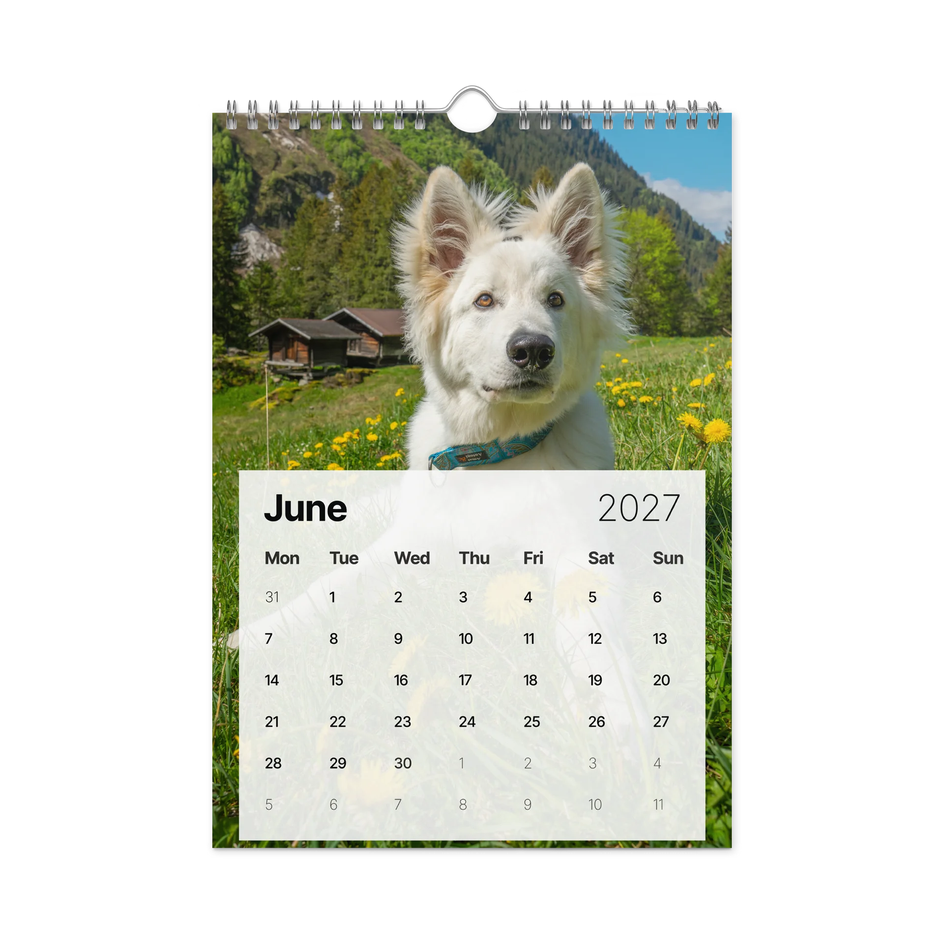 Lil Rasta Calendar 2027 product image (8)