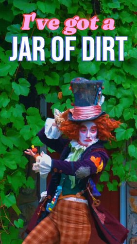Hatter would love a jar of dirt 🎩

#cosplaygirl #dragking #lgbtq🌈 #cosplay #halloween2026