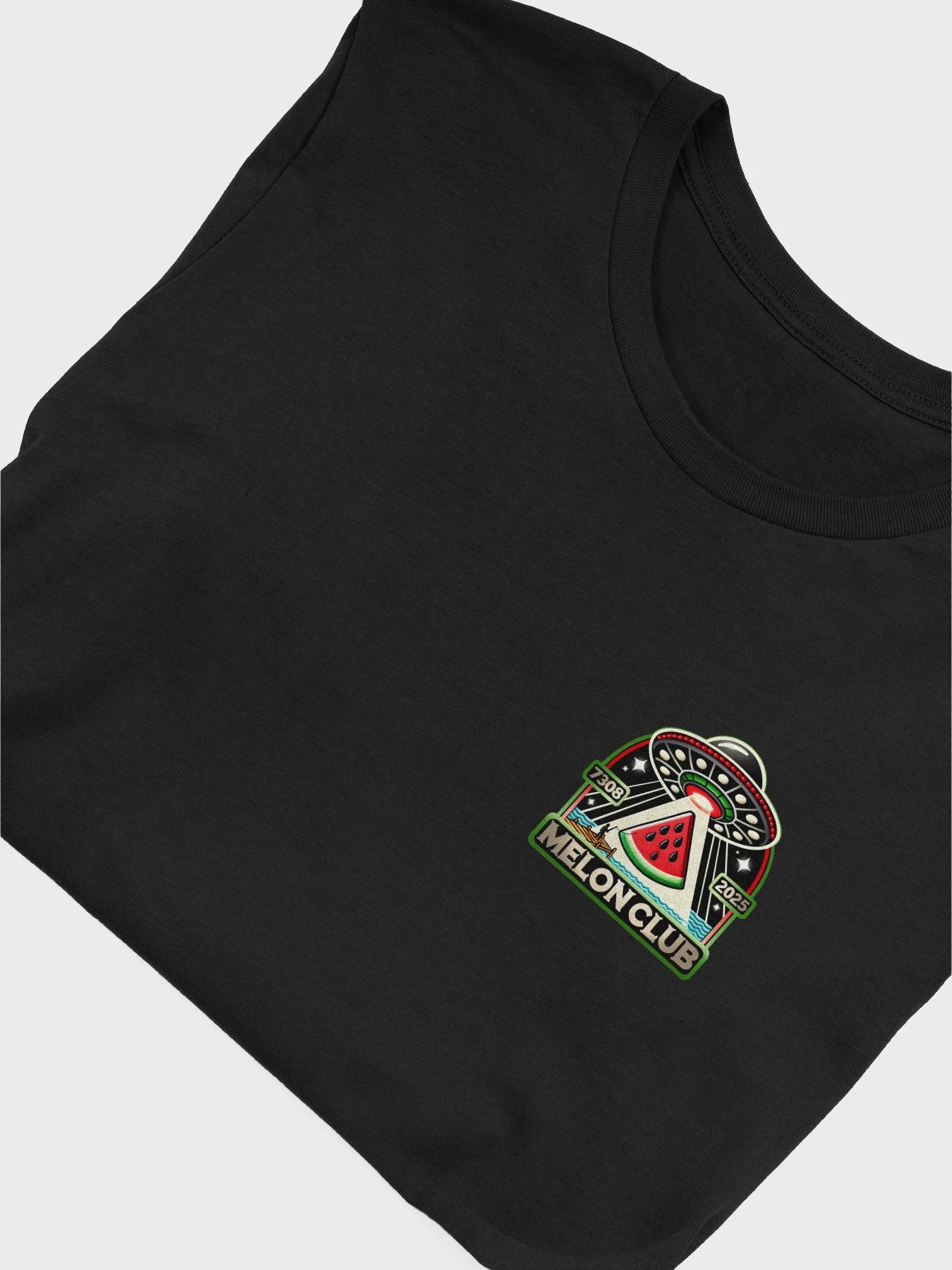 2025 Club Tee (Small Logo) product image (42)