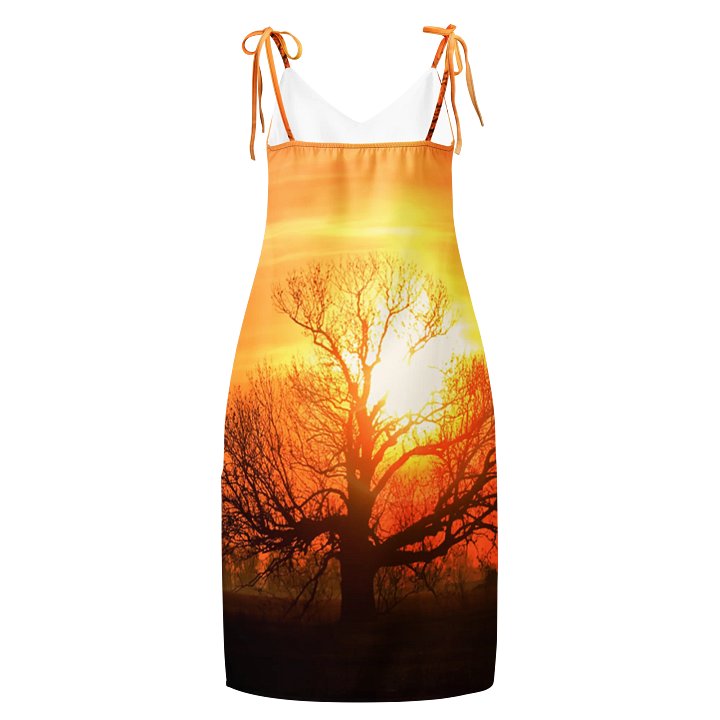 'Moods III' Chiffon Slip Dress product image (1)