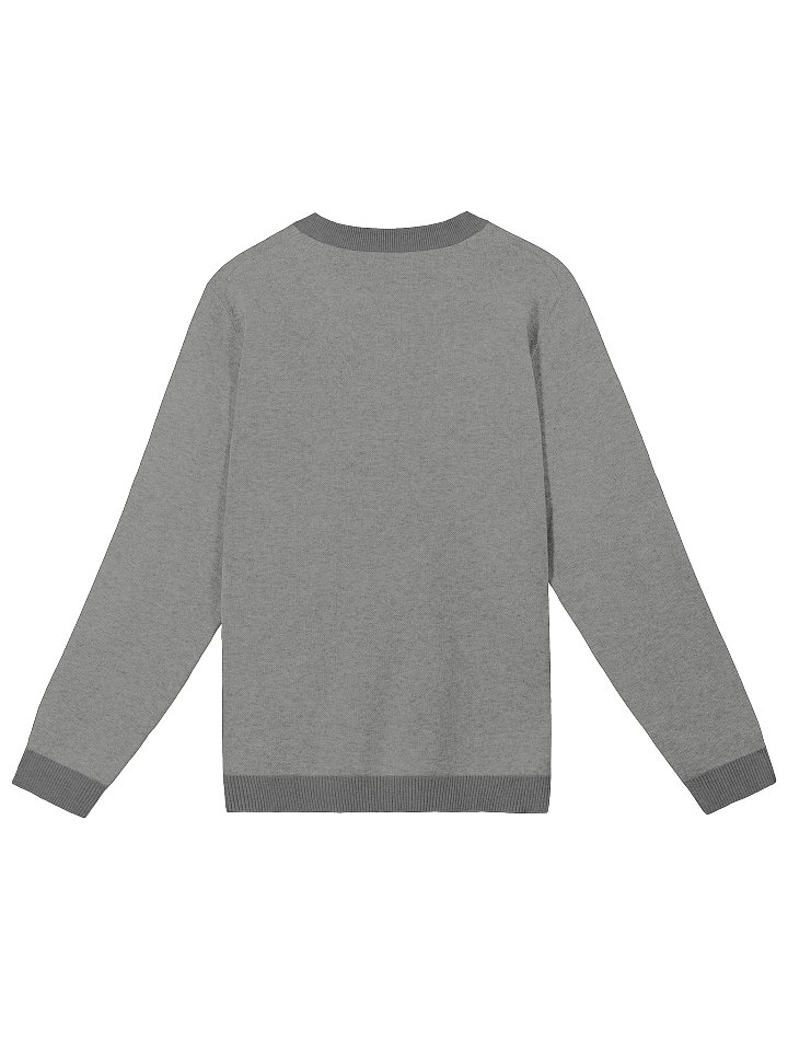 CS Sweater product image (2)