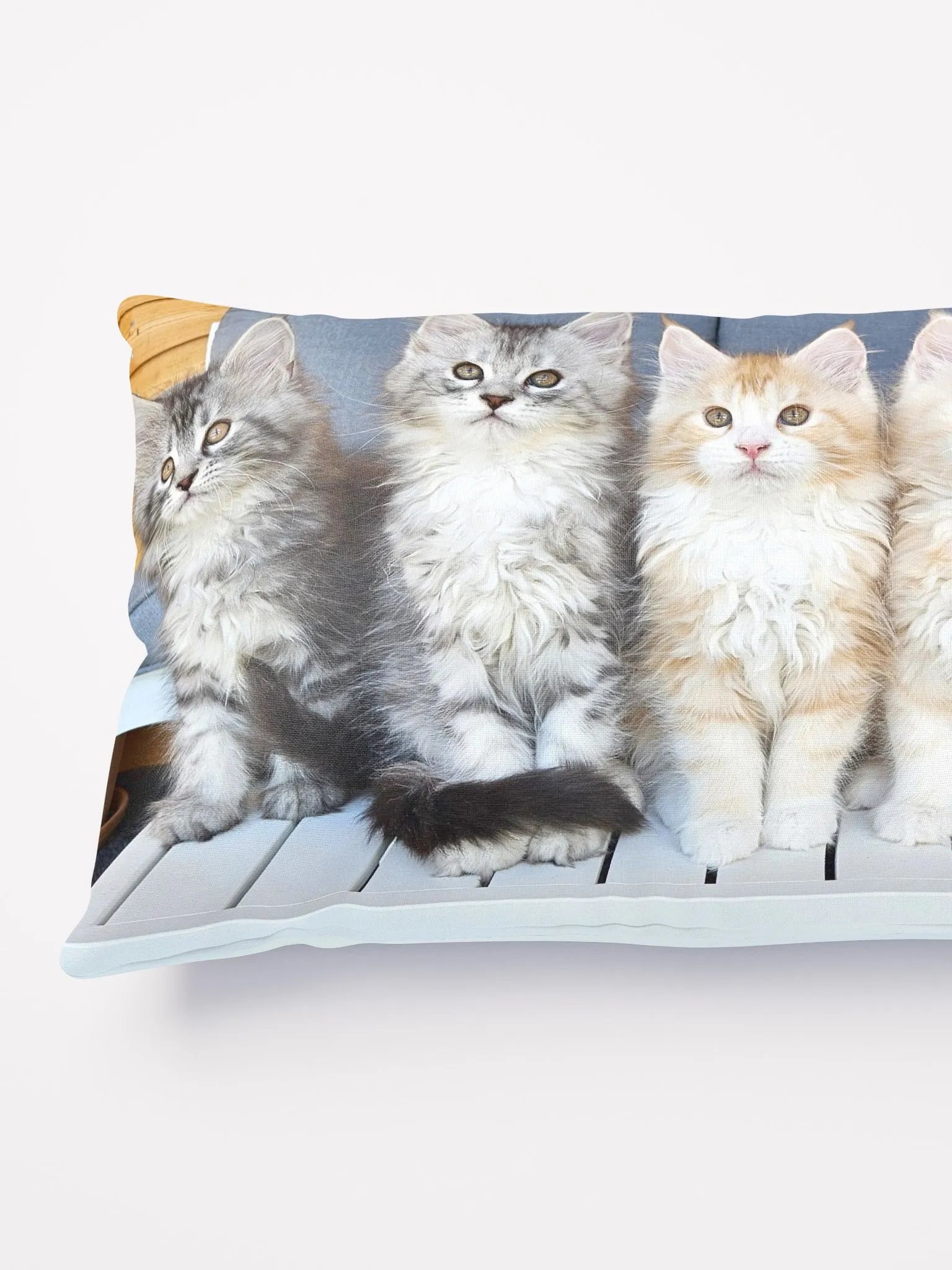 Freya's Kittens (2023) - Pillow product image (3)