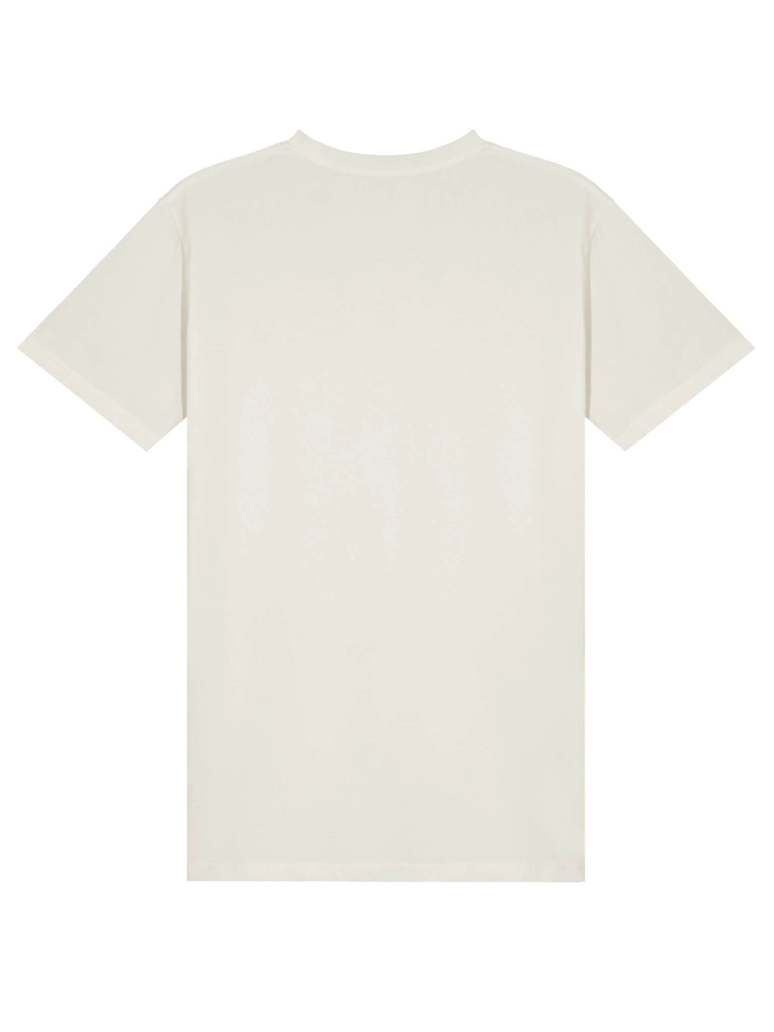 Esprit de Corps Eagle Globe Tee product image (24)