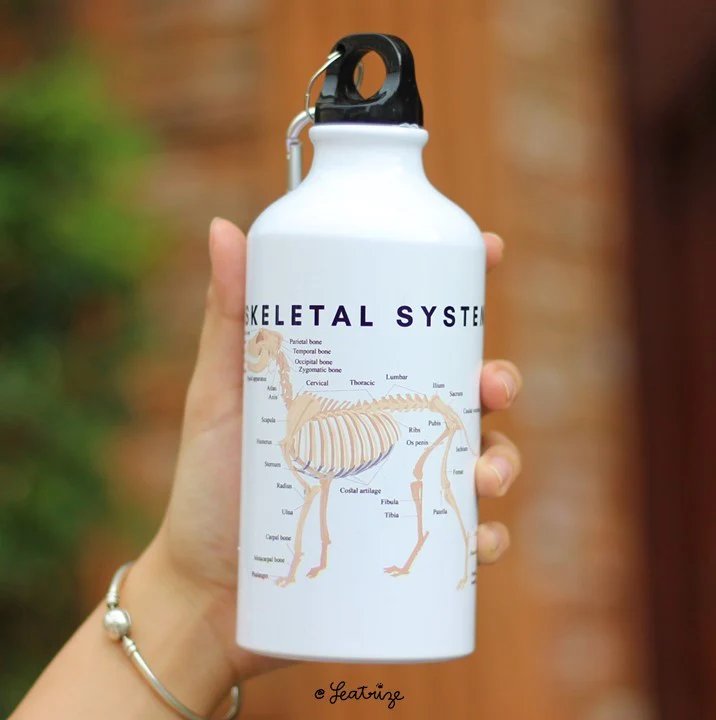 Canine Body System Sports Jugs product image (3)
