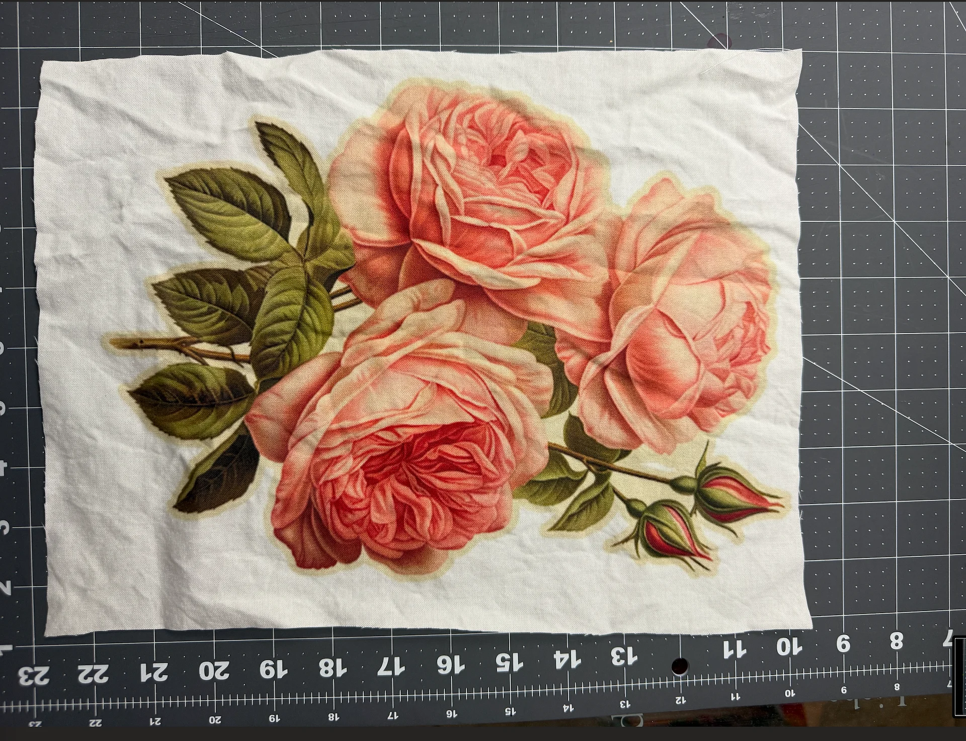 JUMBO ROSES product image (1)