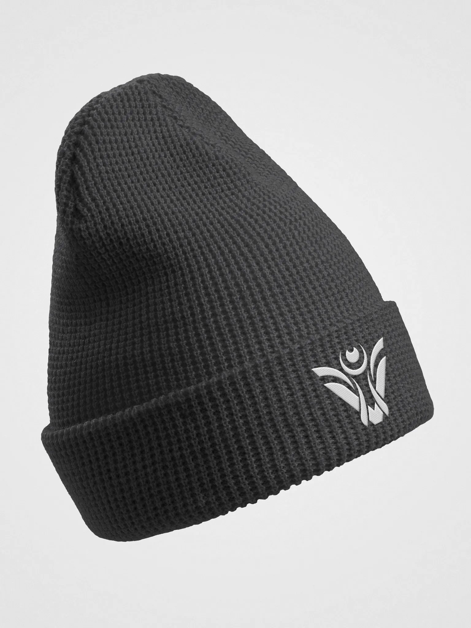 Visionary Beanie product image (3)