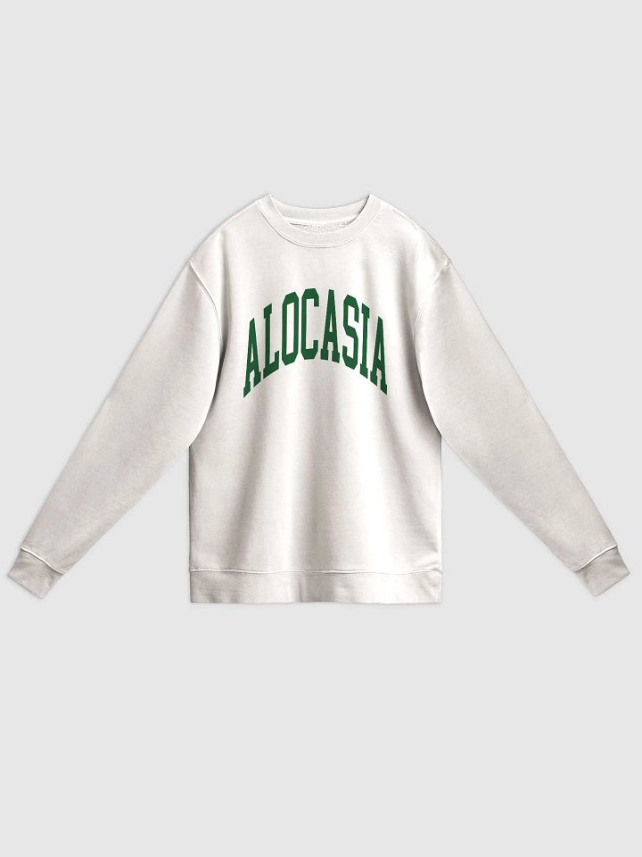 ALOCASIA VARSITY - Midweight Pigment Dyed Sweatshirt product image (3)