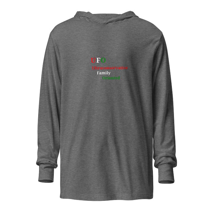 UFO Ultraconservative Family Oriented Hooded Tee product image (1)