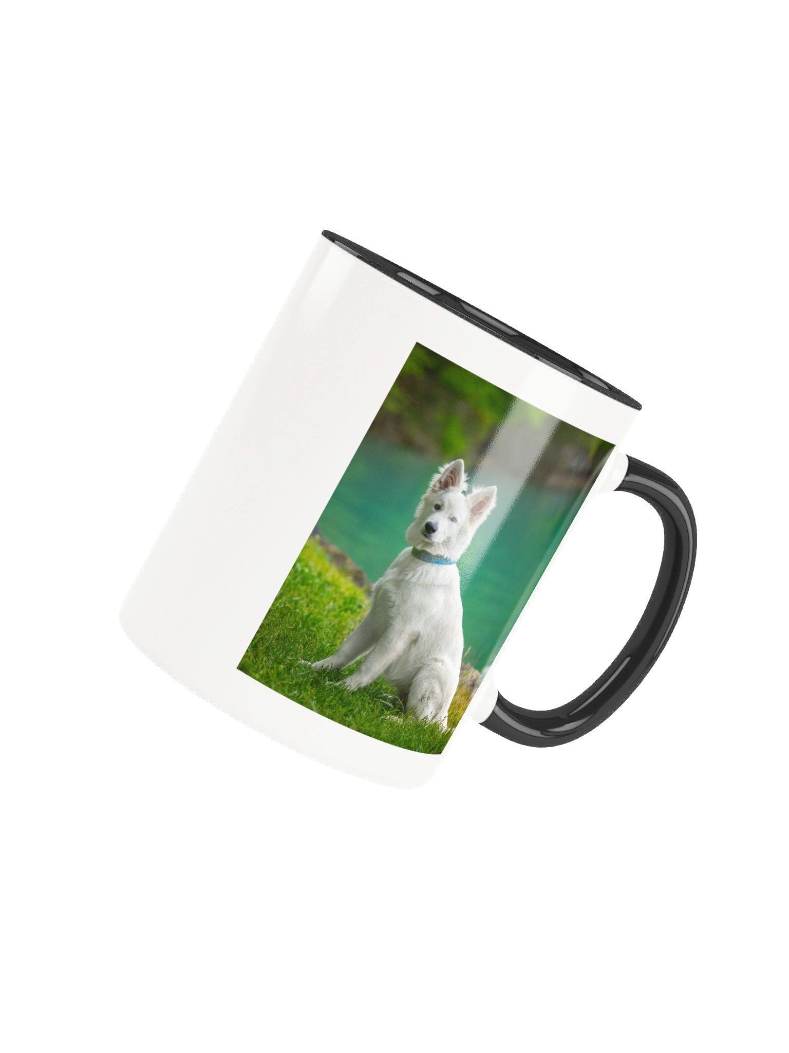 Lil Rasta at Lake Brienz product image (7)