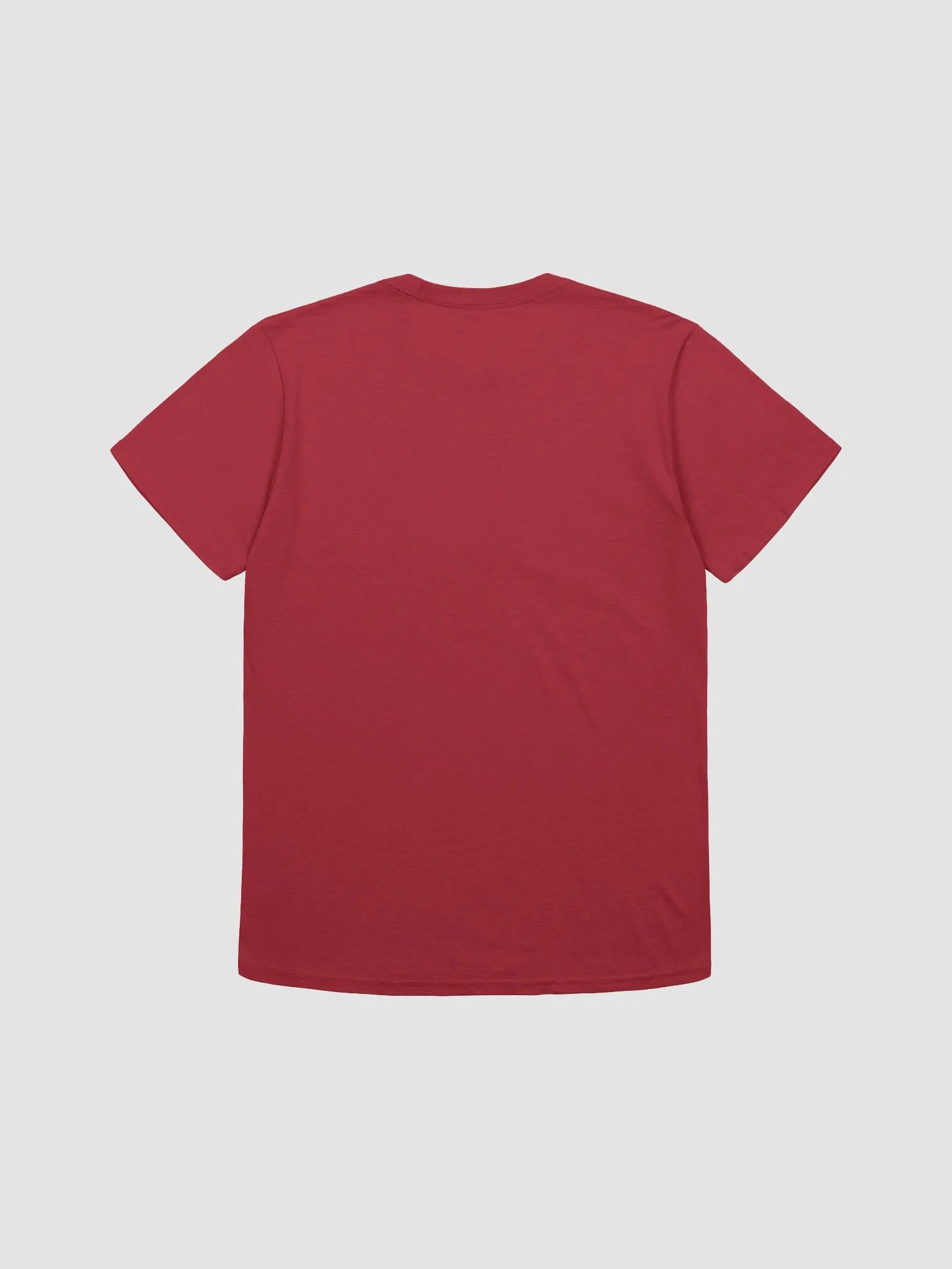 *WHAT IF IT ALL MEANS SOMETHING POLAROID TEE* product image (2)