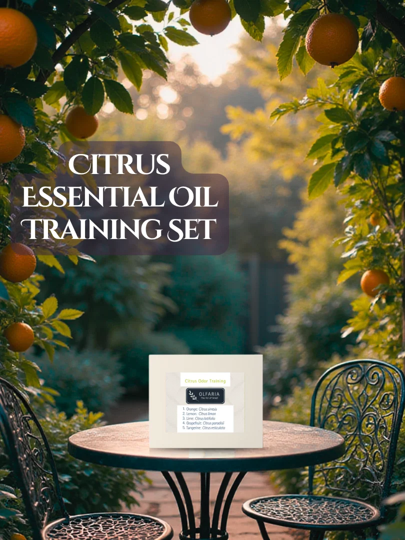 Olfaria Citrus Odor Training Kit ~ 5 Single-Note Essential Oils ~ Scent Education ~ Train Your Nose product image (1)