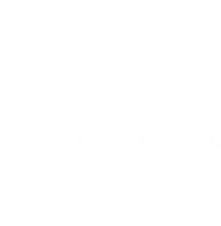 Official Fyre Festival Store