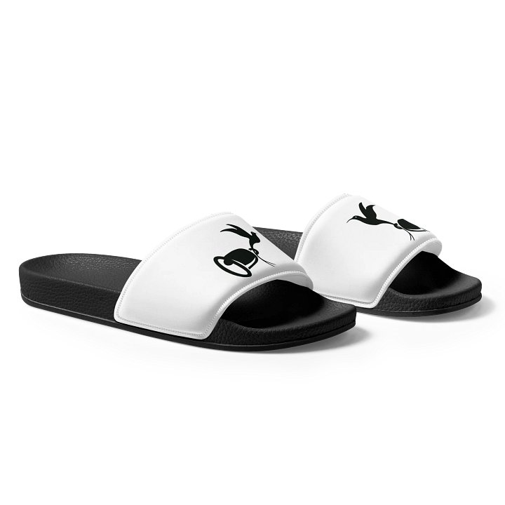 Hummingbird Haven Slides product image (1)