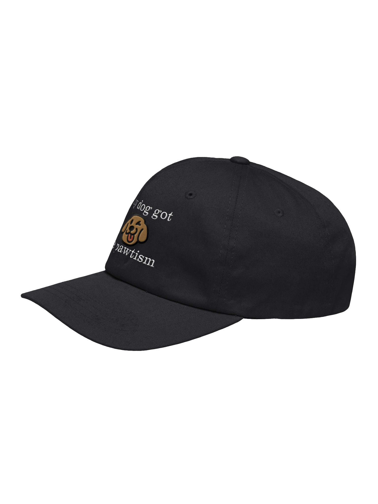 pawtism awareness hat product image (3)