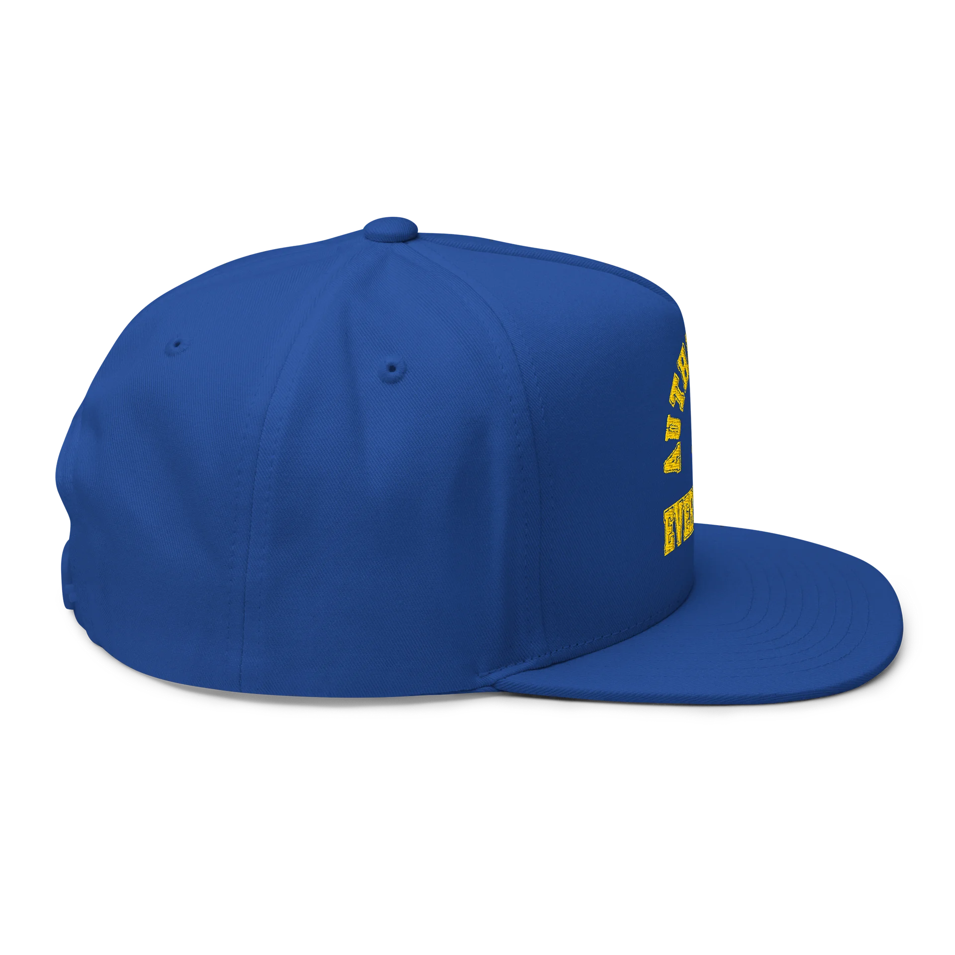 Classic collegiate hat product image (6)
