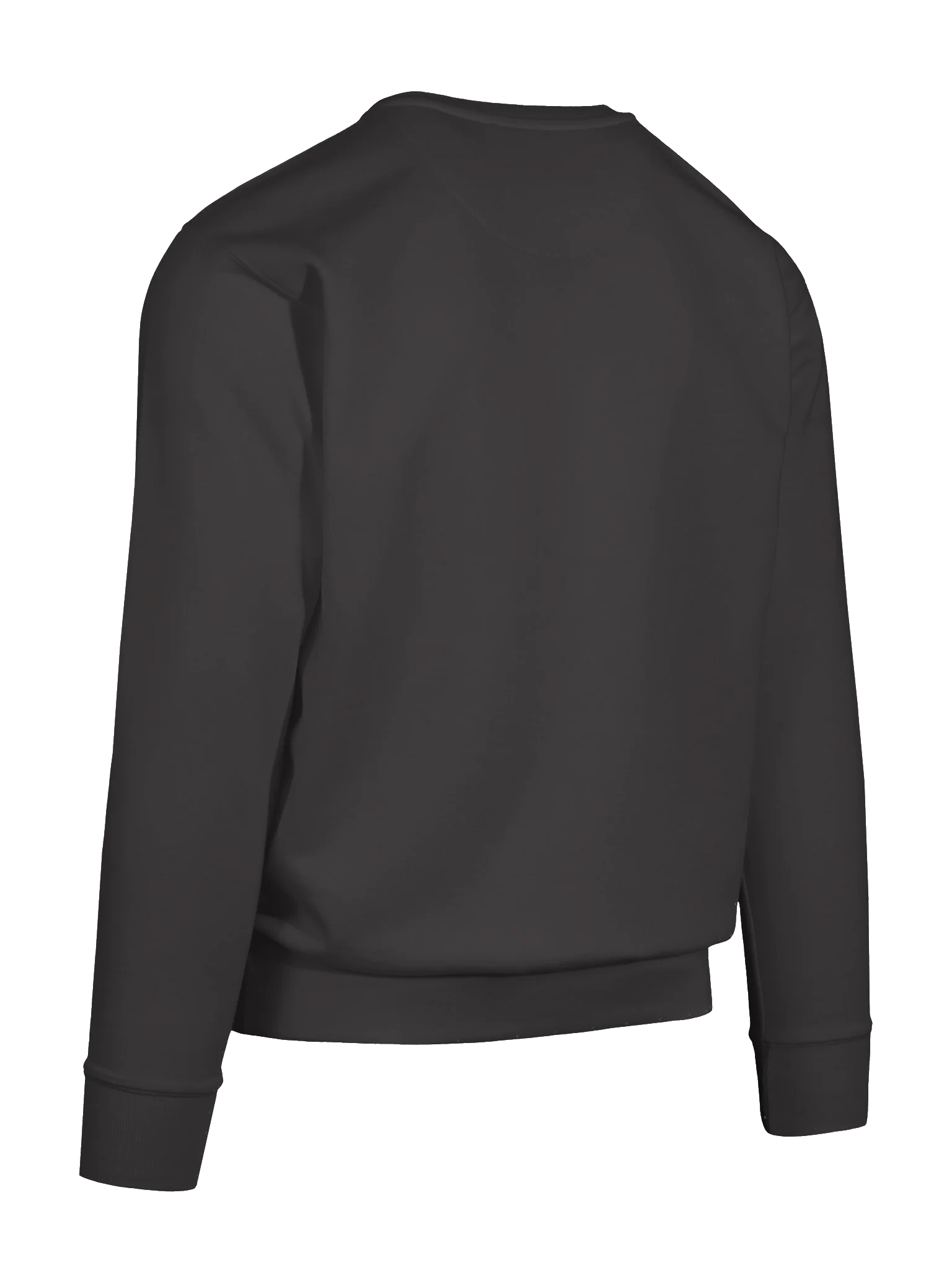 Chatty Leaf Premium Sweatshirt | Cozy Chatty Fall Collection product image (68)