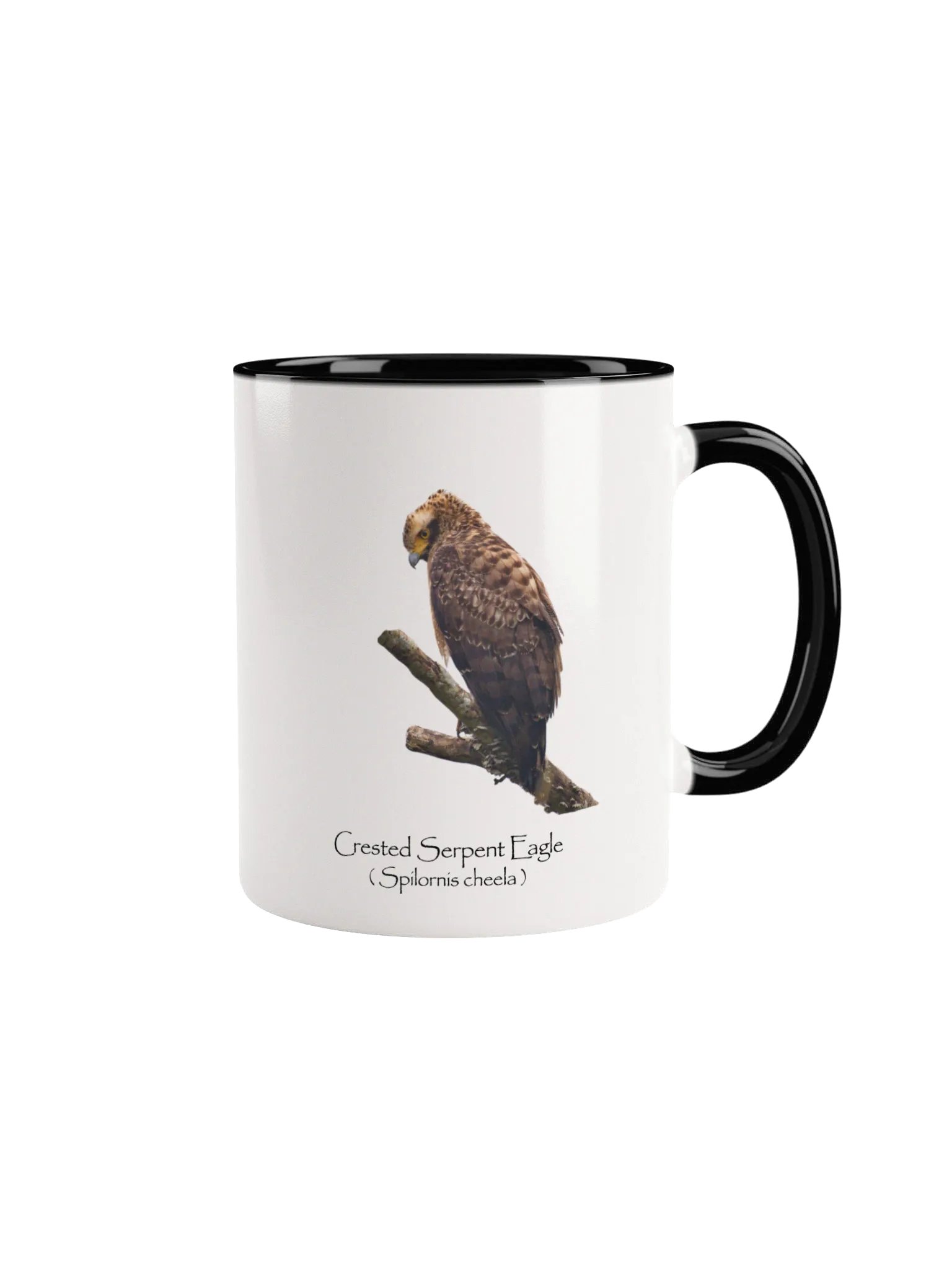 Crested Serpent Eagle mug product image (3)