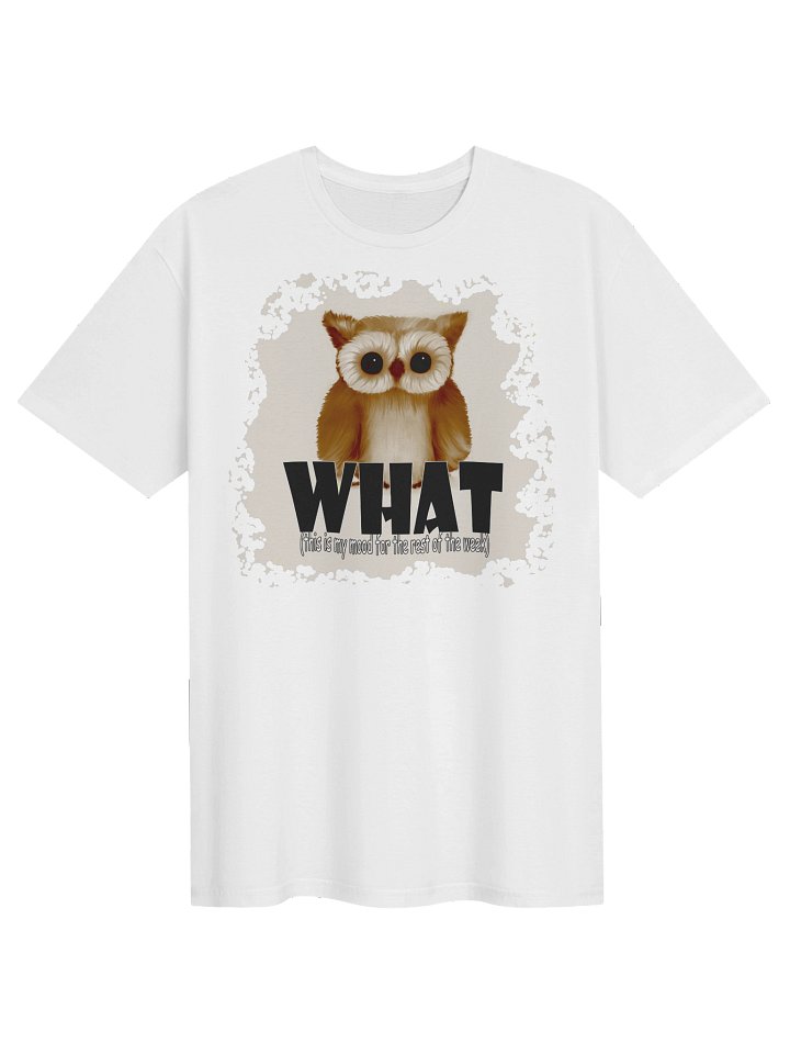 Unisex Gildan Softstyle T-Shirt product image (1)