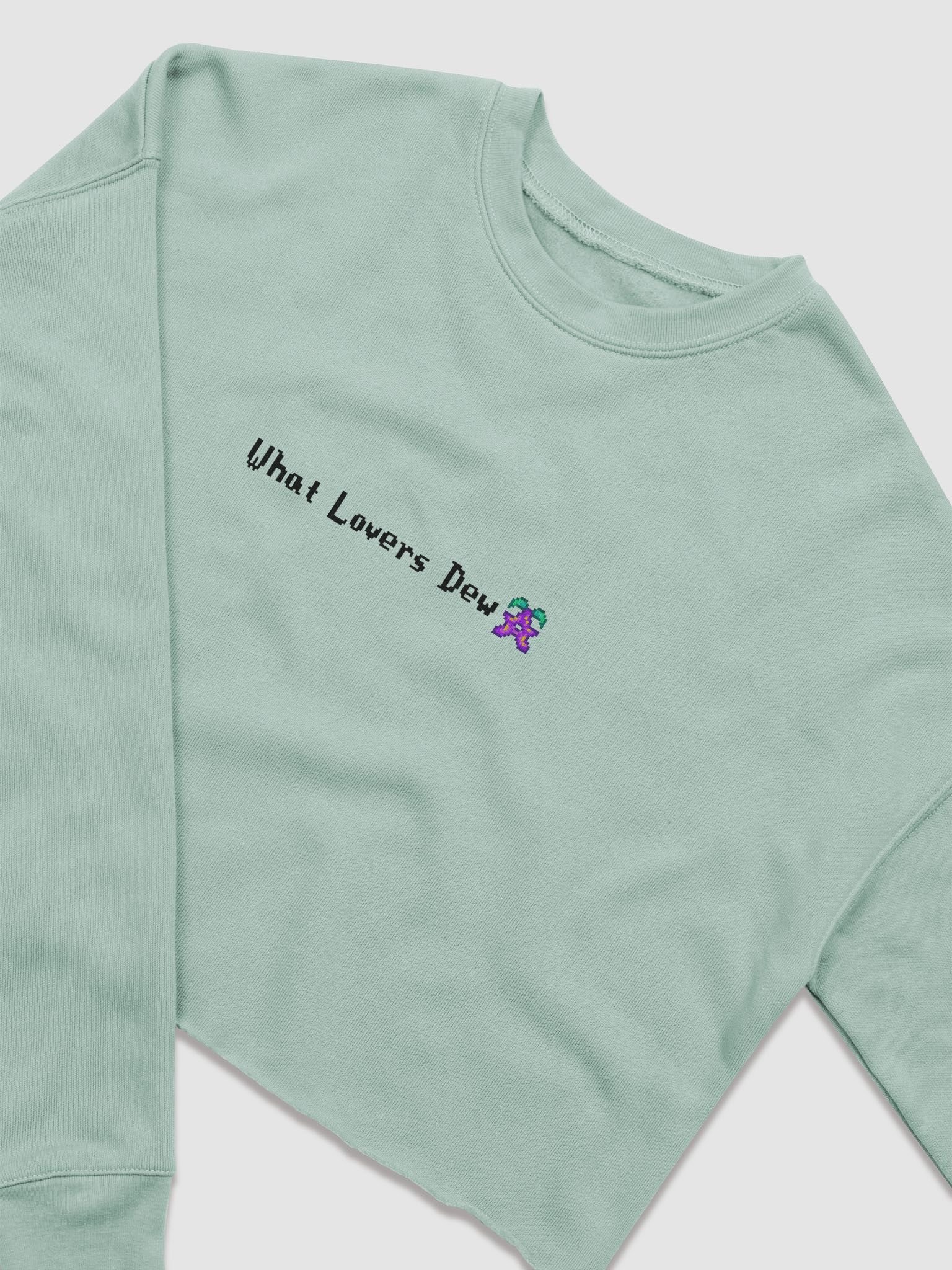 What Lovers Dew - Cropped Long Sleeve product image (3)