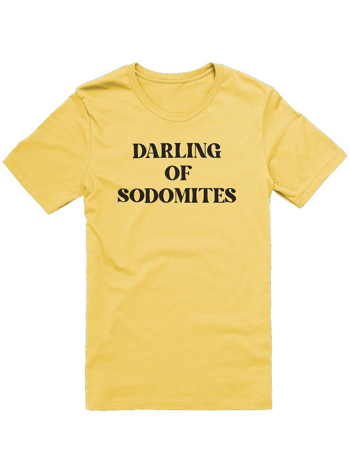 Darling of Sodomites Black Font Retro Pride T-Shirt product image (97)