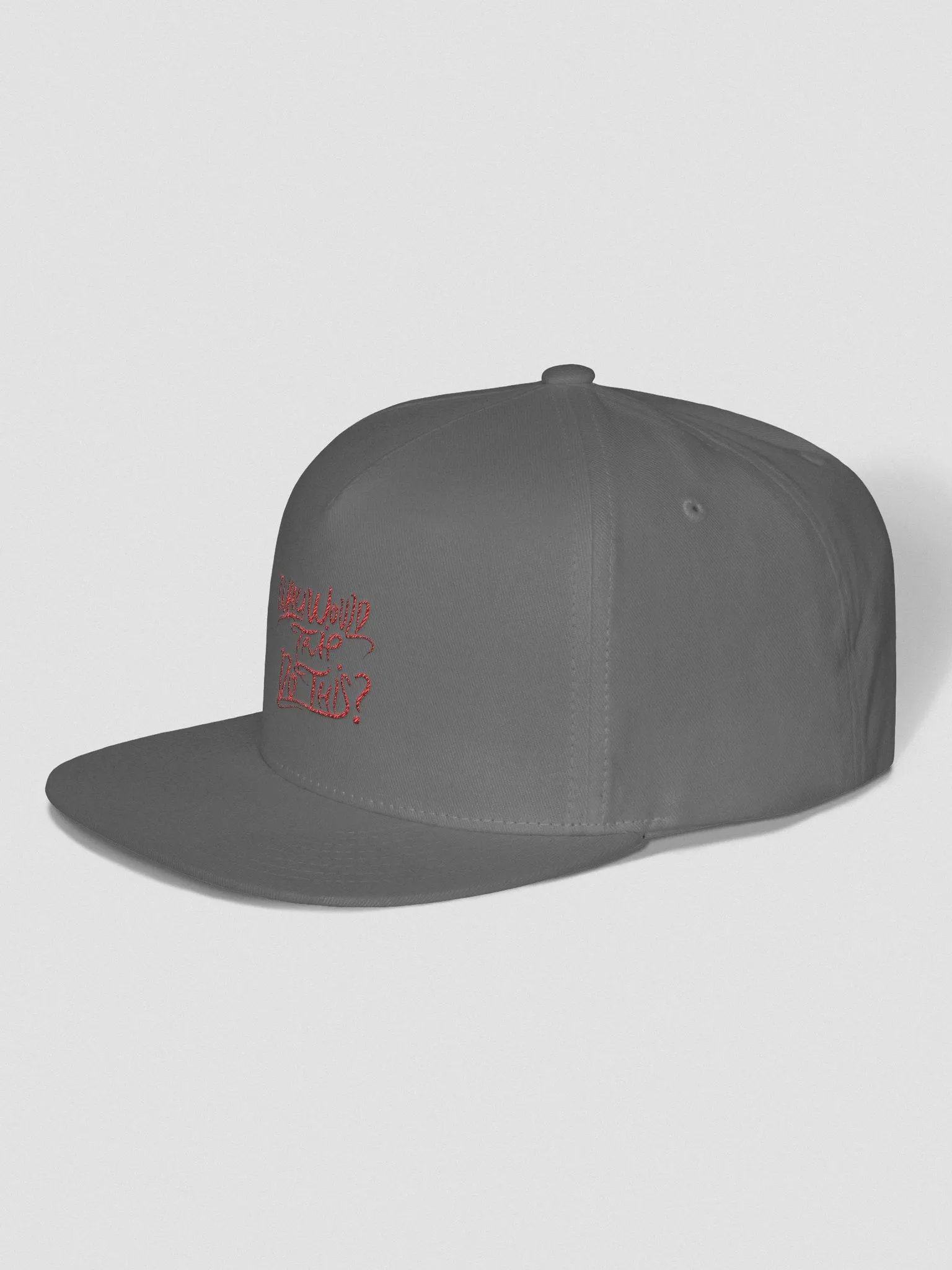 Why Would Trip Do This? - Hat product image (4)