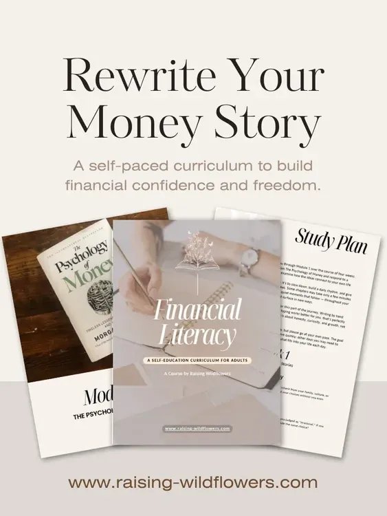 Financial Literacy: A Self-Education Curriculum for Adults product image (1)