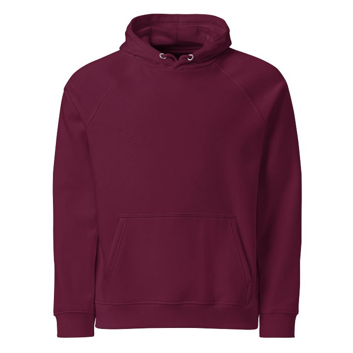 SOL'S Unisex Eco Raglan Hoodie product image (2)