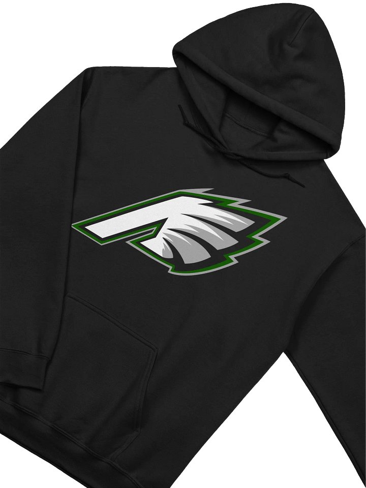 Ash Birds Hoodie product image (2)