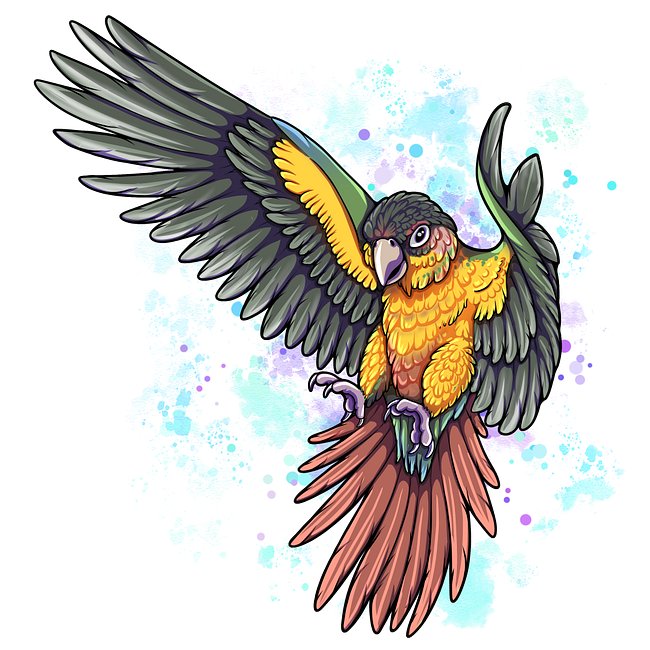 Kiri