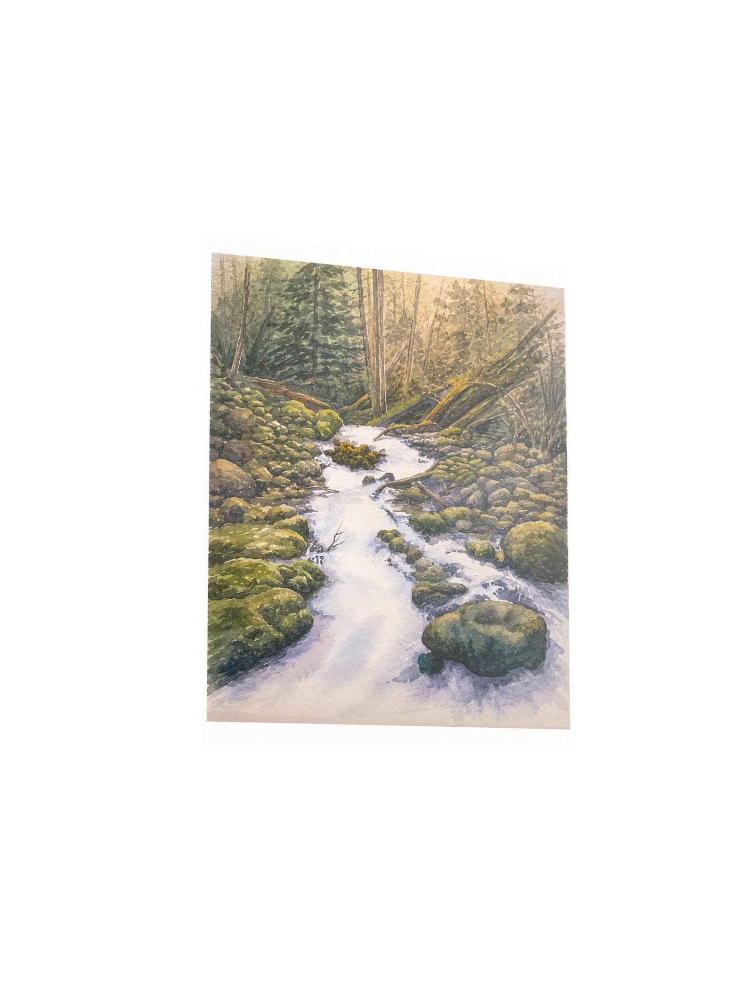 Forest Creek product image (3)